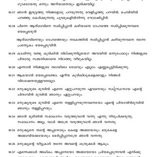 Matthew chapter 10 verses 25 to 38