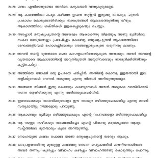 Matthew chapter 24 verses 26 to 39